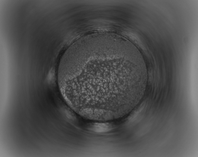 X0000088230457200705221828