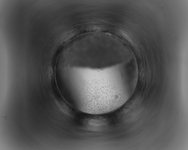 X0000088230459200705221828