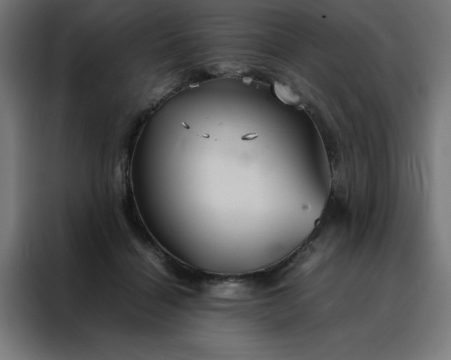 X0000088230460200705221828