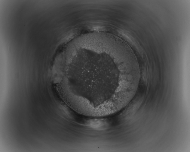 X0000088230461200705221828
