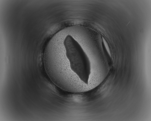 X0000088230462200705221828