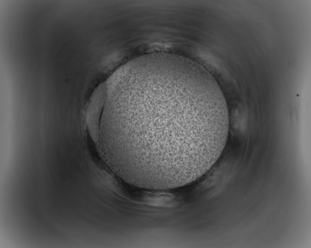 X0000088230463200705221828