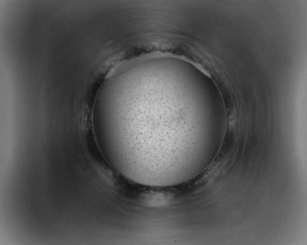 X0000088230464200705221828