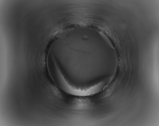 X0000088230466200705221828