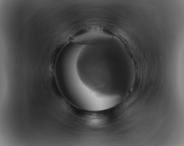 X0000088230467200705221828