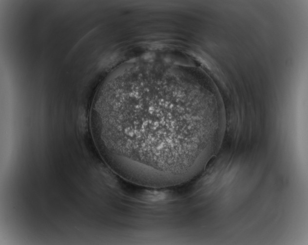 X0000088230469200705221828