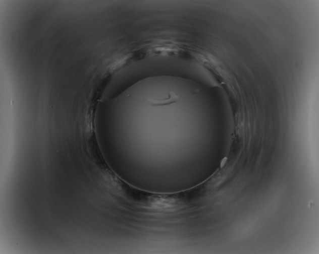 X0000088230471200705221828