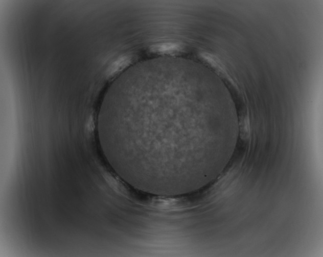 X0000088230472200705221828