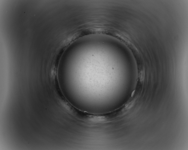 X0000088230476200705221828