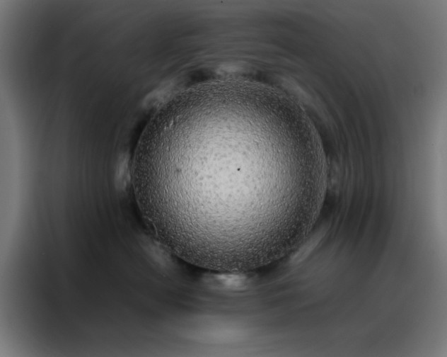 X0000088230478200705221828