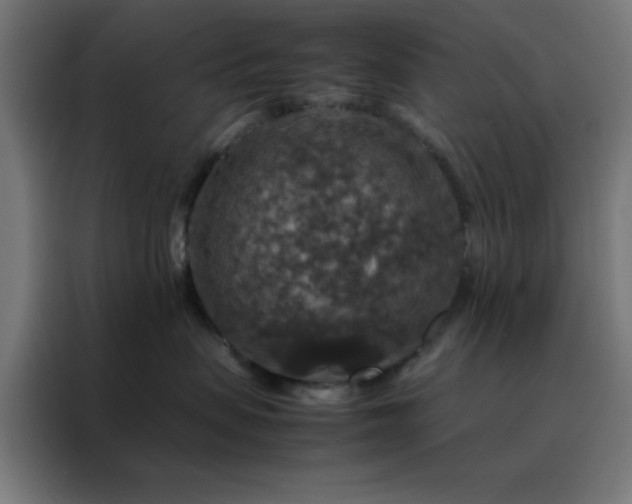 X0000088230479200705221828