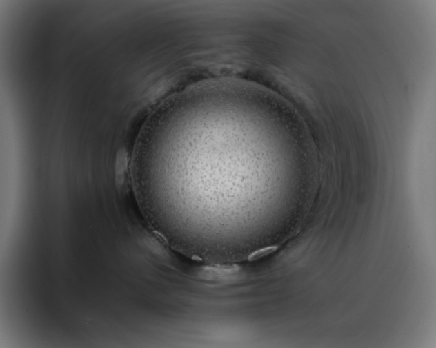 X0000088230480200705221828