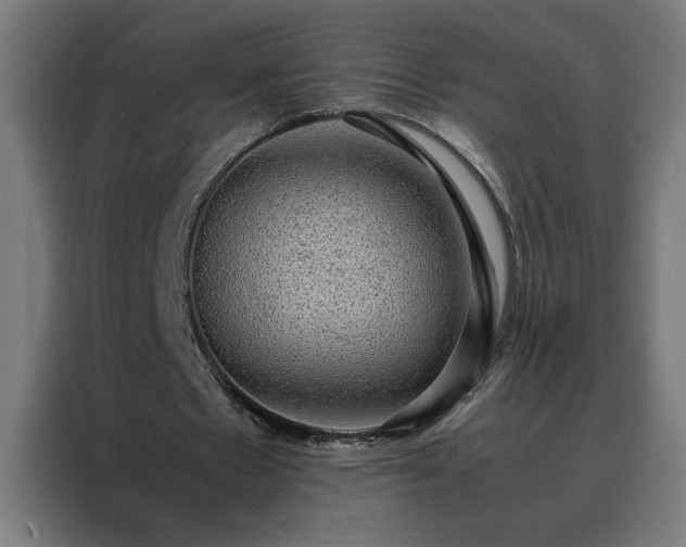 X0000088230481200705221828