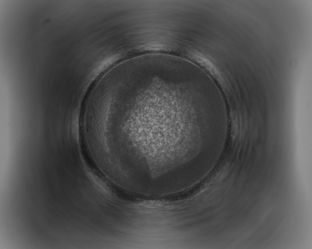 X0000088230482200705221828