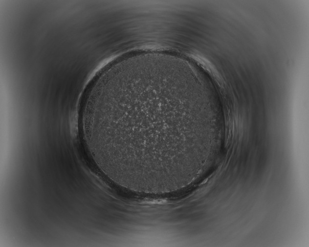 X0000088230484200705221828