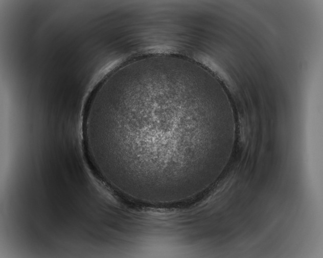 X0000088230486200705221828