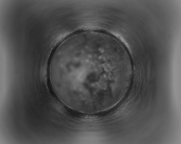 X0000088230487200705221828