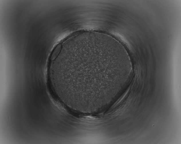 X0000088230488200705221828