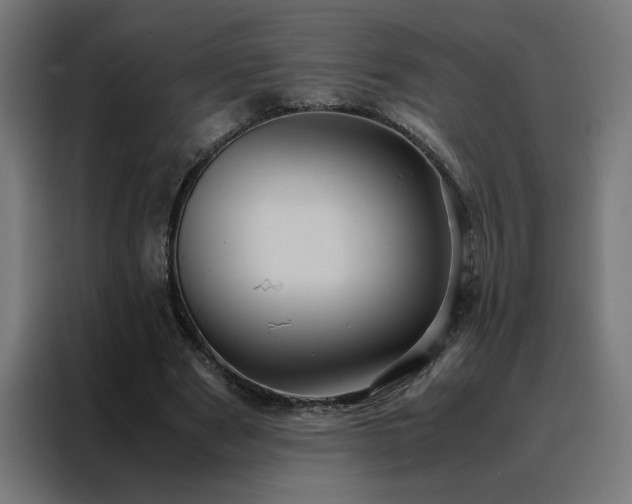 X0000088230489200705221828