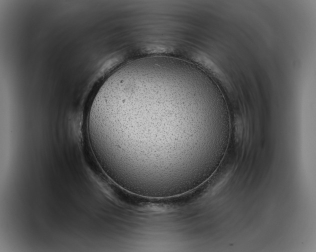 X0000088230490200705221828