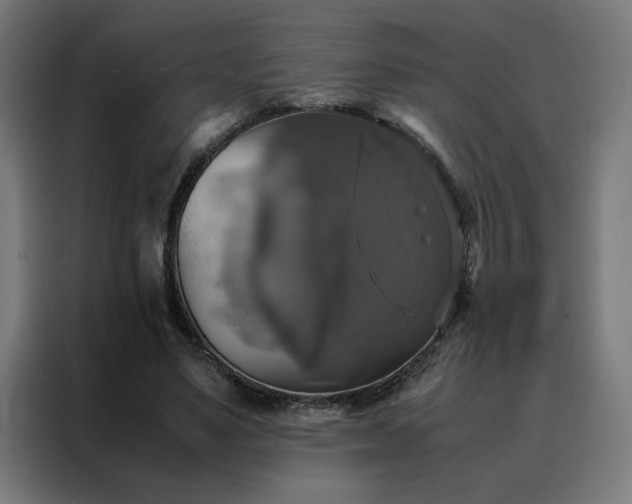 X0000088230491200705221827