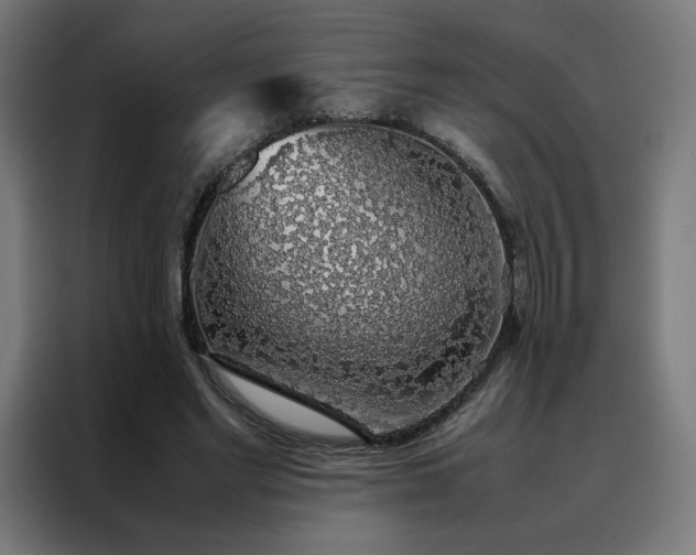X0000088230493200705221827