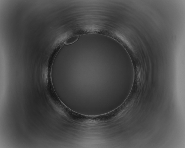 X0000088230494200705221827