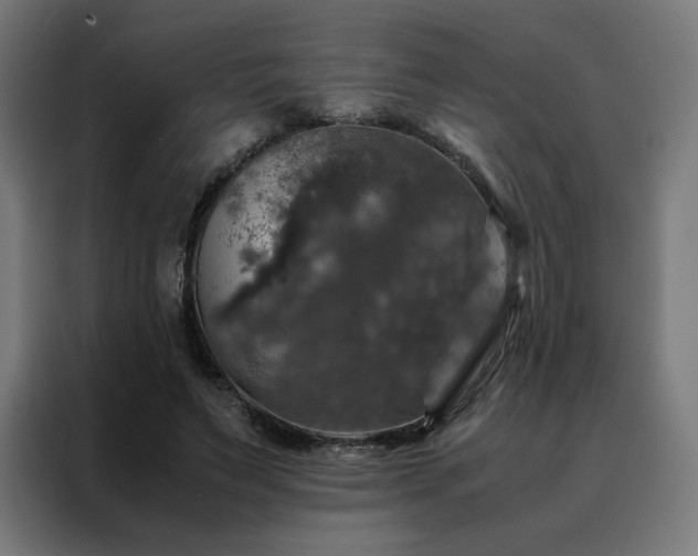 X0000088230495200705221827