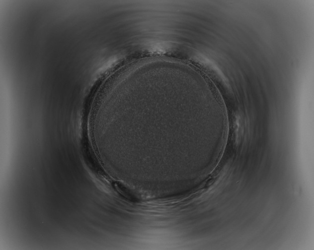 X0000088230496200705221827