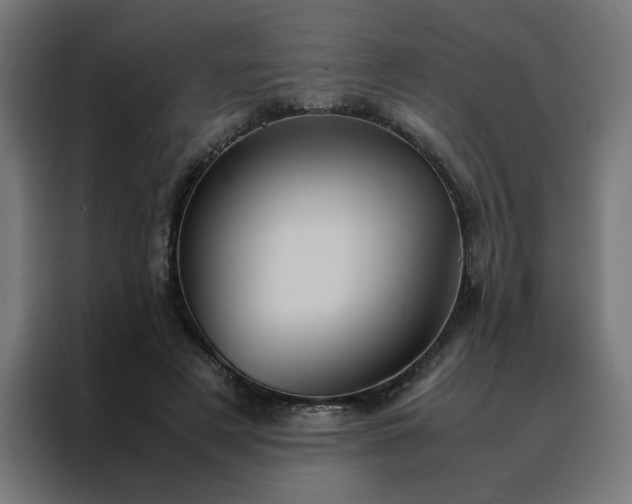 X0000088230497200705221827