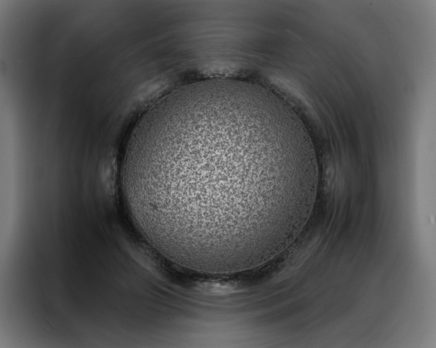 X0000088230498200705221827