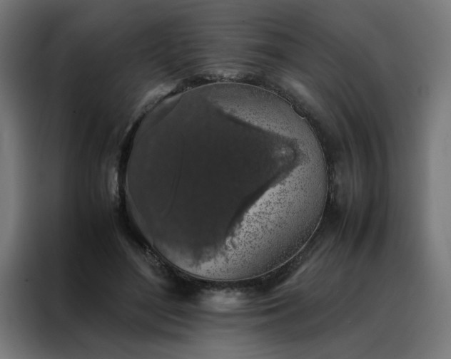 X0000088230500200705221827