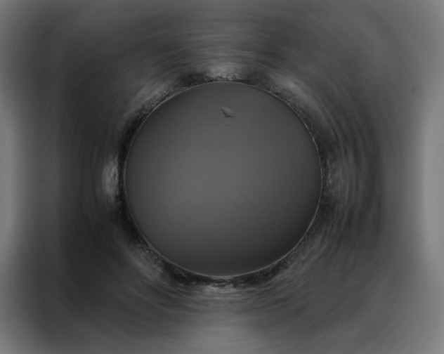 X0000088230502200705221827