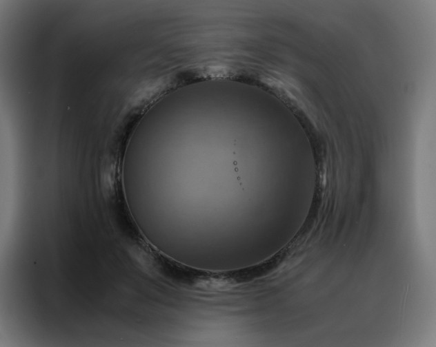 X0000088230503200705221827