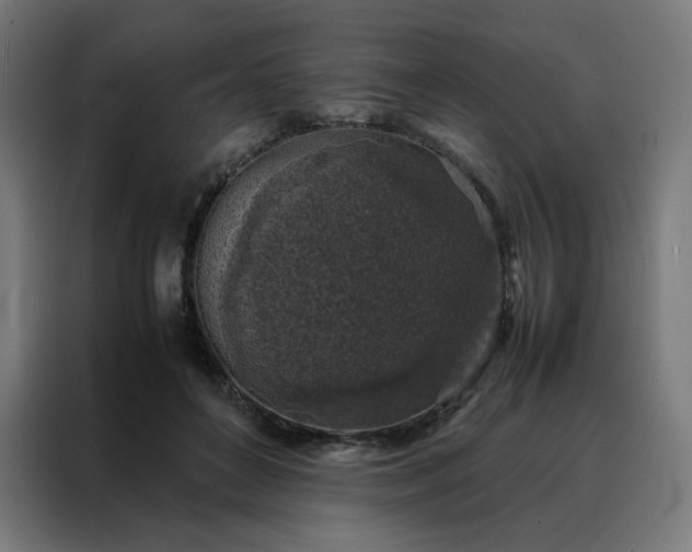 X0000088230504200705221827