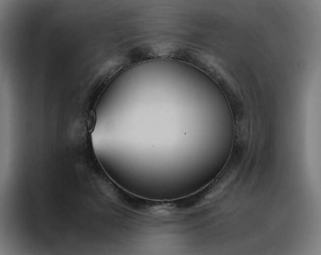 X0000088230505200705221827