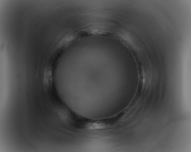 X0000088230506200705221827
