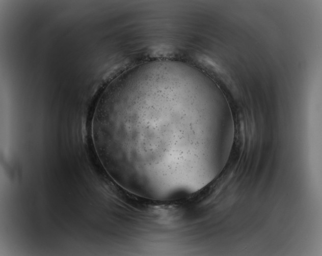 X0000088230508200705221827