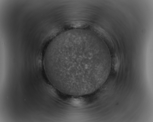 X0000088230510200705221827