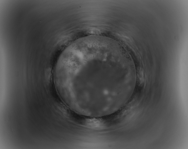 X0000088230511200705221827