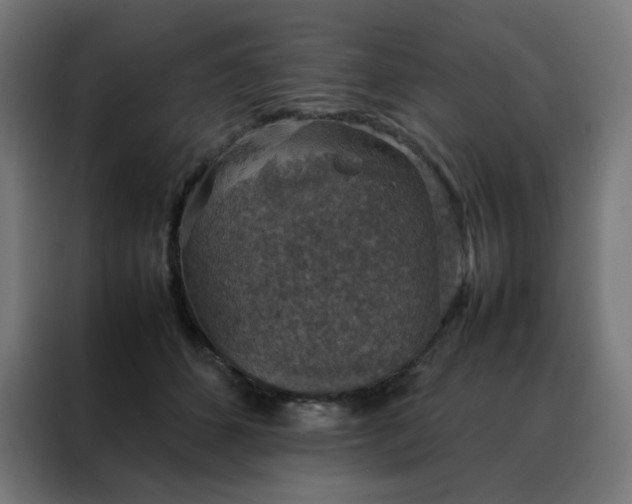 X0000088230512200705221827