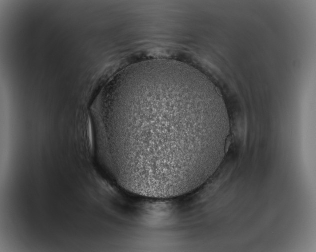 X0000088230513200705221827