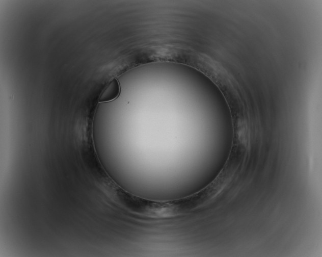 X0000088230514200705221827