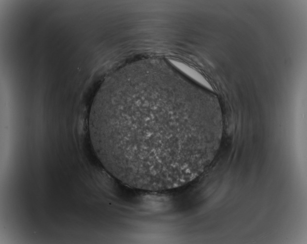 X0000088230515200705221827