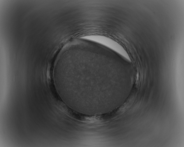 X0000088230516200705221827