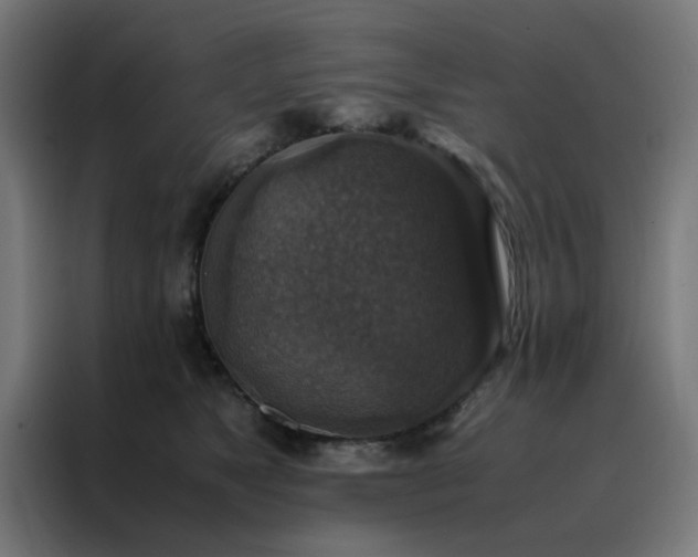 X0000088230517200705221827
