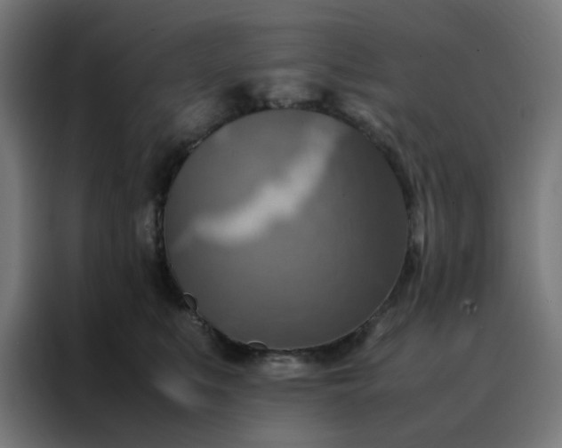 X0000088230519200705221827