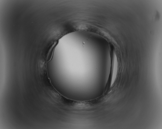 X0000088230521200705221827