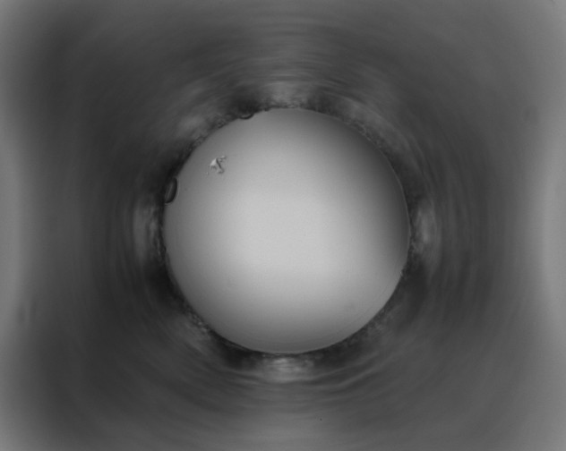 X0000088230522200705221827