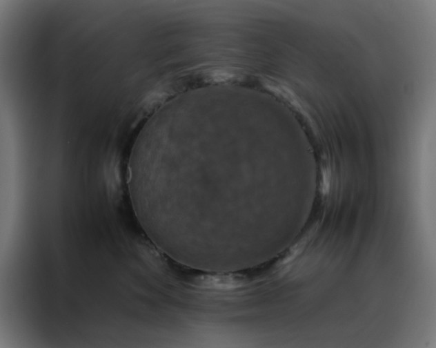X0000088230524200705221827
